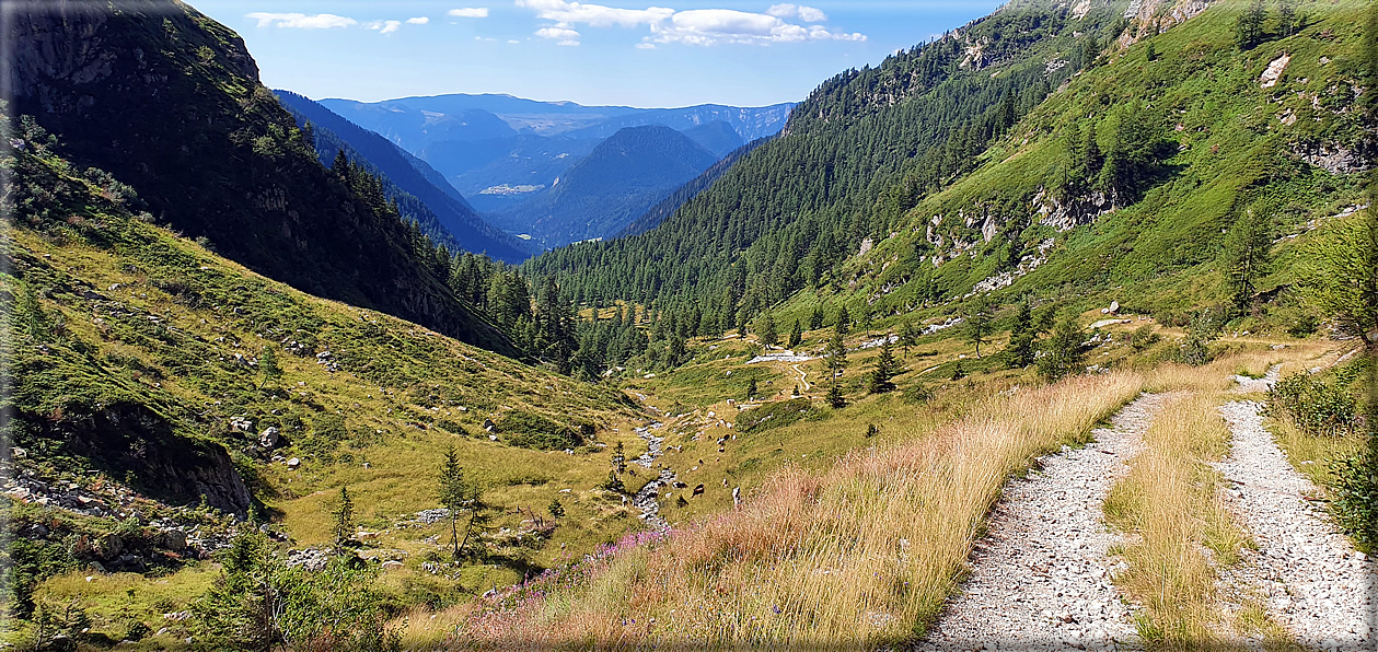 foto Forcella di Val Regana